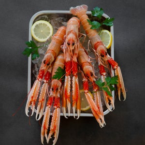 랑구스틴 스캄피 노르웨이 랍스터 3kg 포장 (사이즈:키로당 10-15미)