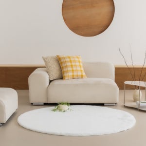 먼지없는 워셔블 장모 온감 러그 대형 거실 침실 원룸 원형 170