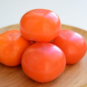 청도 반시 제철 씨없는 감 연시 홍시 대봉감 대봉시 산지직송
