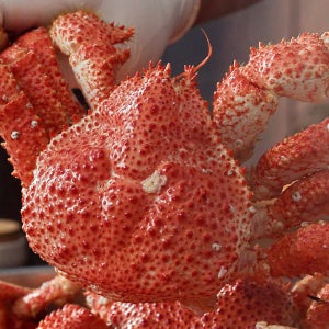 한농식 자연산 스노우 레드 크랩 3마리 킹크랩 아이큐샵