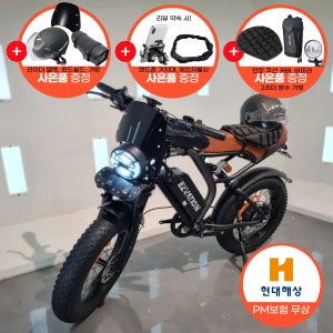 [풀옵션] 이지베이션 BS슬릭 팻바이크 자토바이 PAS 전기자전거 48V 500W 10Ah