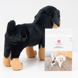 강아지슬개골탈구