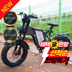 타이탄 전기 팻바이크 MX2000 자토바이 48V 25Ah 전기자전거 1000W