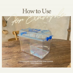 곤충 채집통 특대형 사슴벌레 장수풍뎅이 곤충용품 소라게 달팽이 놀이터 사육장 케이지