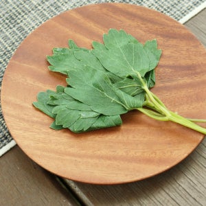 국내산 데친 방풍나물 당일채취 당일공정 생 방풍나물 200g 400g 1kg