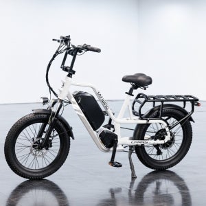 레이윙 캐리 배달 전기자전거 CARRY 25Ah