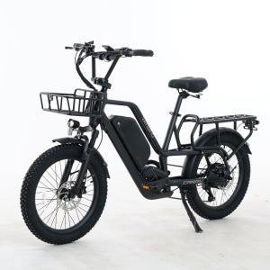 레이윙 캐리 전기자전거 배달 라이더 RAYWING CARRY 배달 자전거 25Ah