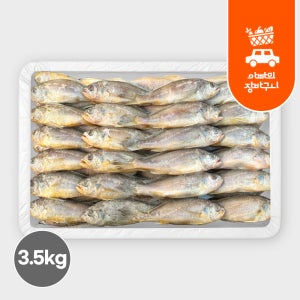 조기 참조기 3.5kg 부세 민어 업소용 도매 냉동 굴비 구이