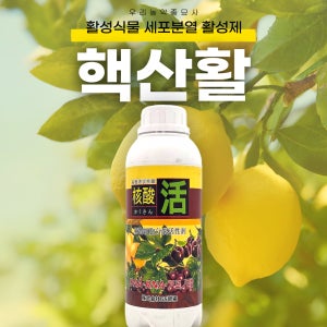 핵산활 1L 활성식물 세포분열 활성제 화아분화 착과 핵산 아미노산 농축 우리농약종묘사