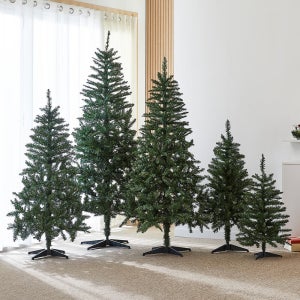 [모던하우스] 마이 포레스트 트리