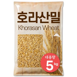 [최신 통관] The큰나무 프리미엄 호라산밀 카무트 쌀 터키산 5kg, 1개