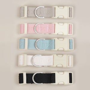 리토가토 워키펫 핸즈프리 목줄 5colors 강아지산책용품세트