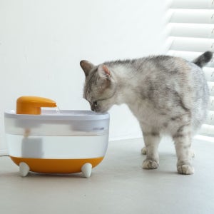 캣디피 프레시워터 UV살균 고양이 정수기 급수기 CATDP 음수대 물그릇 수돗물 물 많이 음수량 늘리기