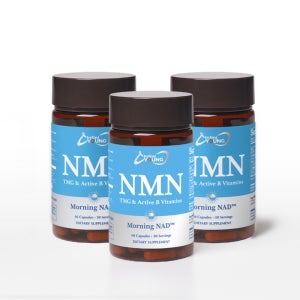 인피니영 모닝 NAD, 고용량 NMN 1회 섭취 500mg, 총 60 베지캡슐, 3병세트