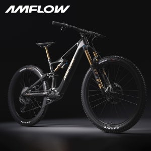엠플로우 DJI전기자전거 앰플로우 AMFLOW