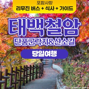 [당일] 강원 단풍 국내 가을여행 태백철암 단풍 군락지 태백고원 900산소길 서울출발 버스여행 패키지