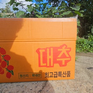 2025년 국산 연산 햇대추 말린대추 건대추 상초 특초 별초 10kg 업소용