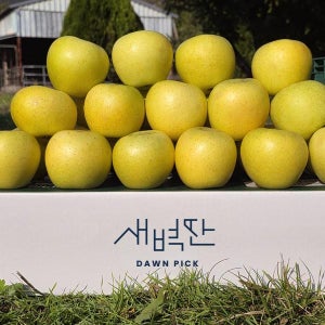청송 시나노골드 황금사과 스위트 노란사과
