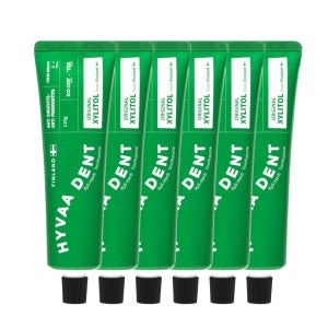 휘바덴트 자일리 허브 치약 구취제거 잇몸케어 치석관리 자일리톨 120g, 6개