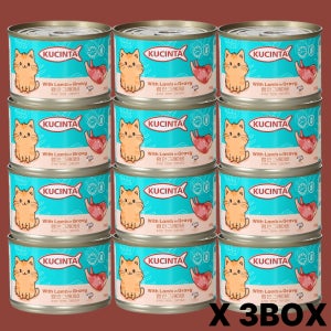 쿠친타 캣 그레인프리 고양이 주식캔 위드 램 인 그레이비, 150g, 36개
