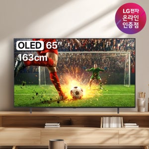 LG OLED TV AI 매직리모컨 포함 OLED65B5ENA (163cm), 스탠드