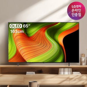 LG OLED TV AI 매직리모컨 포함 OLED65B5ENA (163cm), 스탠드