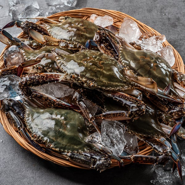 서해안 제철 꽃게 1kg 활꽃게 숫꽃게 생물 산지직송 가을 봄