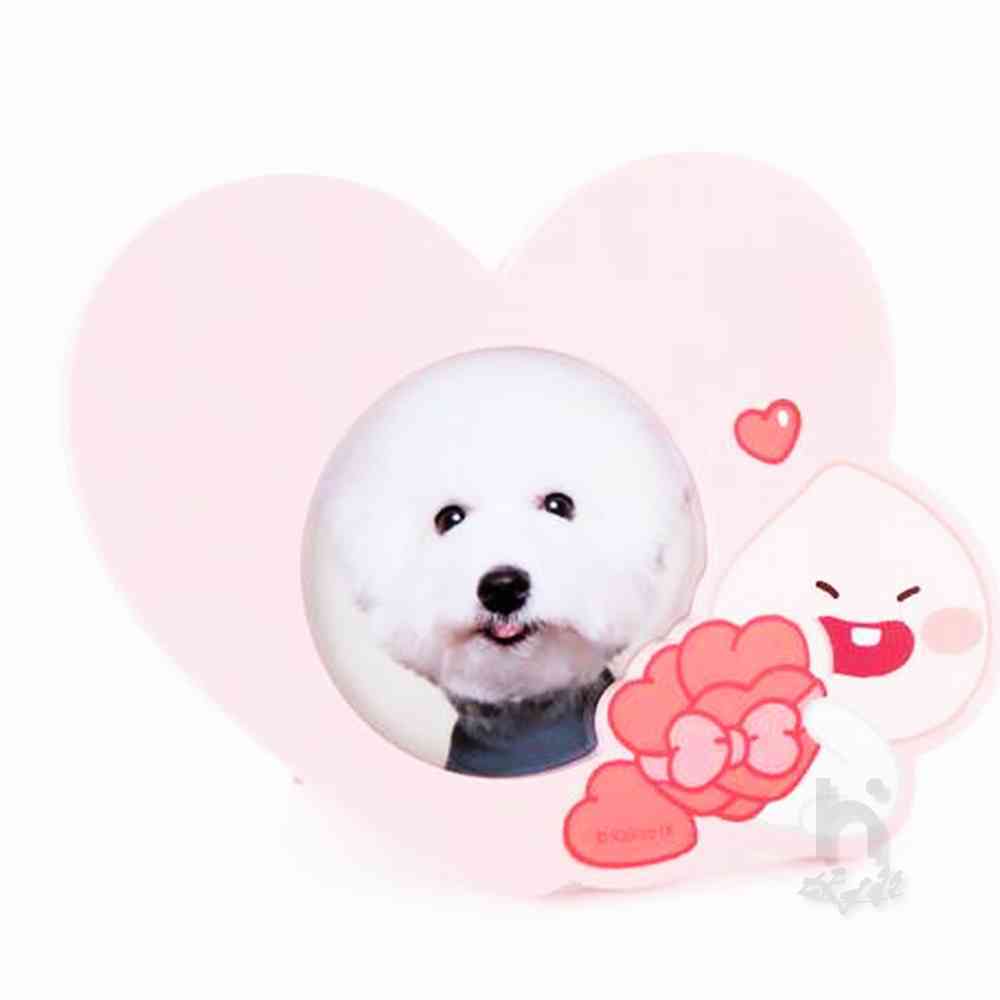 사헌 하트액자 어피치 피앙세포토