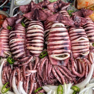 제철 한입 통찜 오징어 생물냉동 급냉