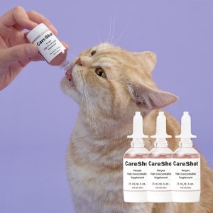 고양이콧물 허피스 고양이눈꼽 켁켁 천식 케어샷 (3개)