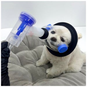 강아지 산소 캔 반려 동물 휴대용 산소 호흡기