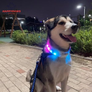 강아지목줄 반려견 산책 레인보우 색상 LED 목걸이 야간산책 야광 충전식 목줄