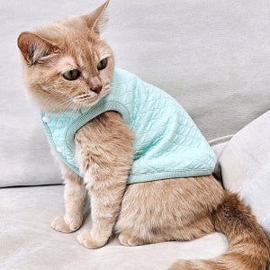 아리캣 고양이 옷 봄 실내복 누빔 조끼 마카롱 깔깔이 특별연장 3/9~3/31