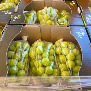 2026[VIG FOR VIP]샤인머스켓 망고포도 수출용 선물세트 6키로,8키로,10키로