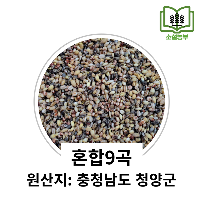 Soseol Nongbu 2025 Domestic New Mixed Grains (Bean-Free 9 Types), 500g, 1 pc