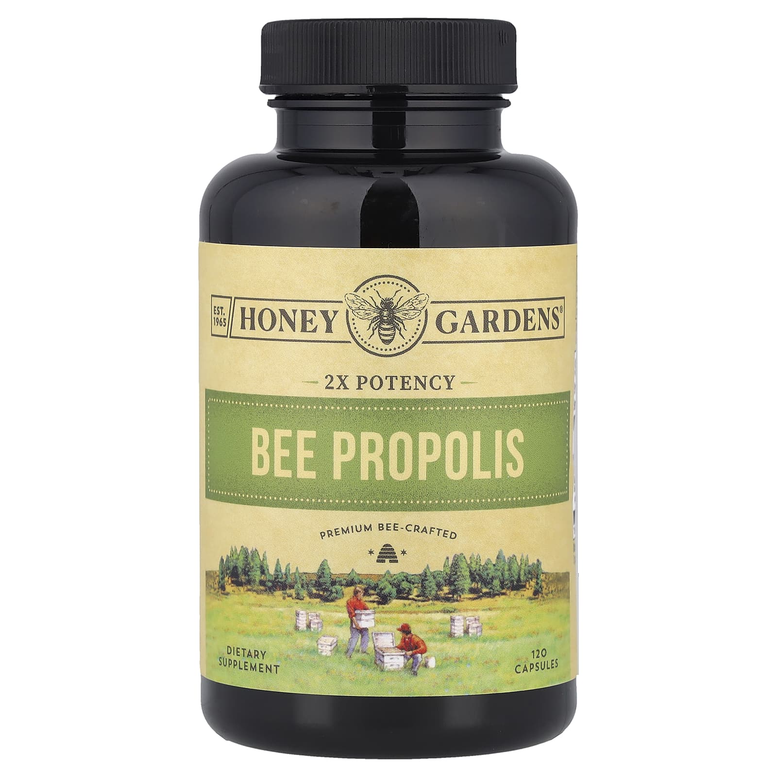 <b>잰드</b> 프로폴리스 Propolis 2배 효능 캡슐 120정캡슐 1정당 400mg