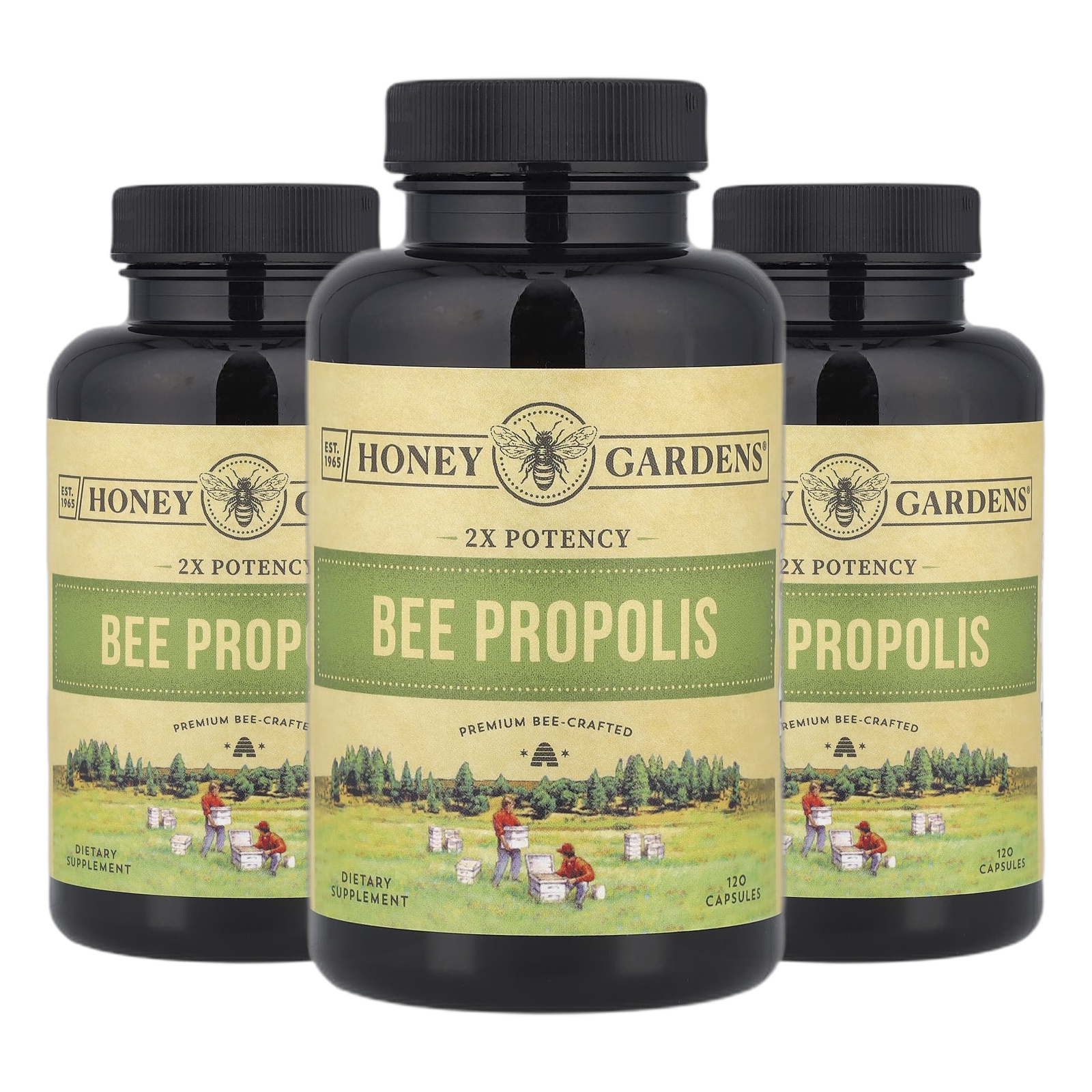 <b>잰드</b> 프로폴리스 Propolis 2배 효능 캡슐 120정캡슐 1정당 400mg 2+1