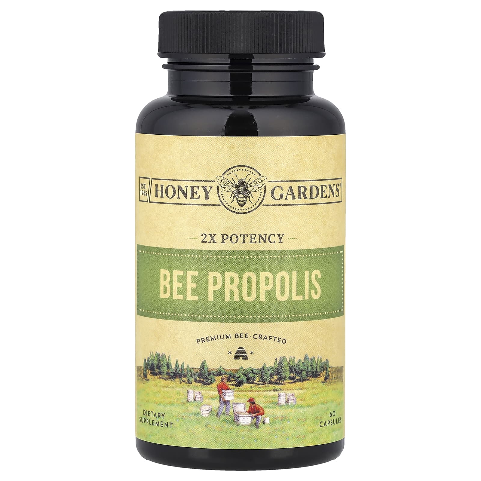 <b>잰드</b> 프로폴리스 Propolis 2배 효능 캡슐 60정캡슐 1정당 400mg