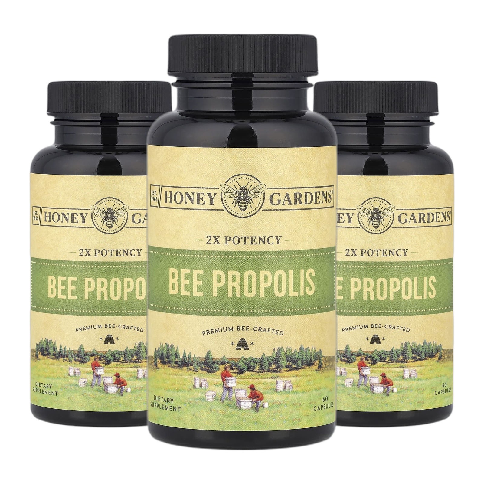 <b>잰드</b> 프로폴리스 Propolis 2배 효능 캡슐 60정캡슐 1정당 400mg 2+1