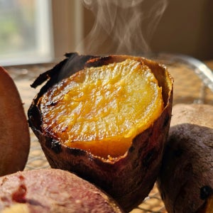 강화 호풍미 호박 고구마 꿀 속노랑 강화도 햇고구마 5kg, 1개