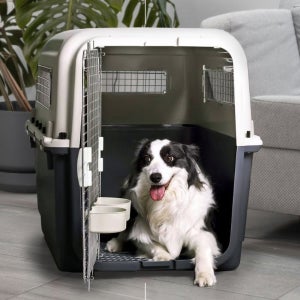강아지 케이지 대형견 켄넬 캐리어 이동장 바리 모노켄넬 자이언트 750