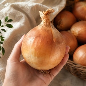 대끼리네 26년산 햇양파 2kg 3kg 5kg 10kg 15kg 농가직송