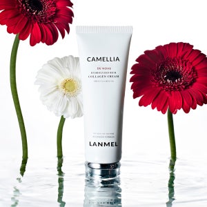까멜리아 드노브 콜라겐 크림