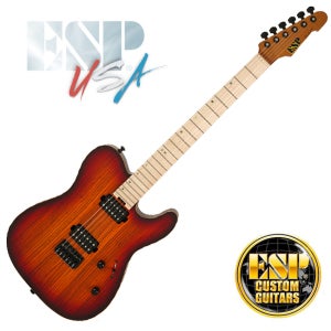 ESP USA TE-II HT Zebrawood (3-Tone Sunburst Satin) 커스텀 샵 일렉기타