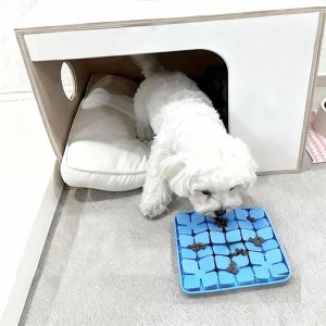 고양이노즈워크 장난감 강아지분리불안훈련 실리콘노즈워크매트