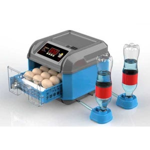 병아리 부화기 자동 기계 상품 인큐베이터 조류 사육 자동