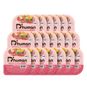 듀먼 돼지고지&채소 오리지널 화식 100g 20팩 / 자연식 습식사료