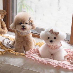 오파프 플라뇌르 하네스 2colors 강아지산책용품 가슴줄 하네스옷