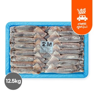 업소용 포크오징어 2M 12.5kg 선동 채낚기 수입산 냉동 오징어 업소용