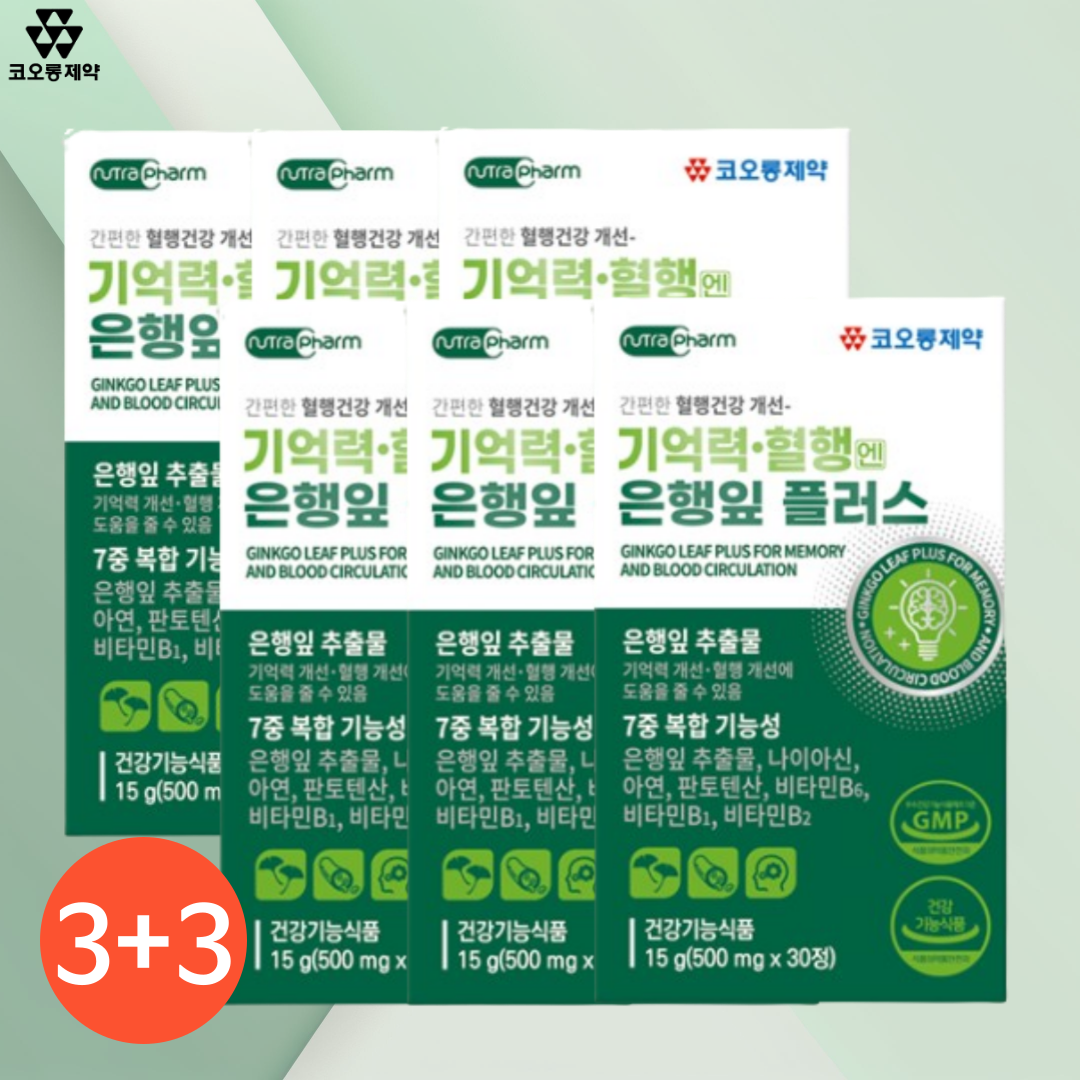 <b>기억력</b> 혈행엔 플라보놀 은행잎 플러스 은행나무 추출물 개선 효능 30정, 6개